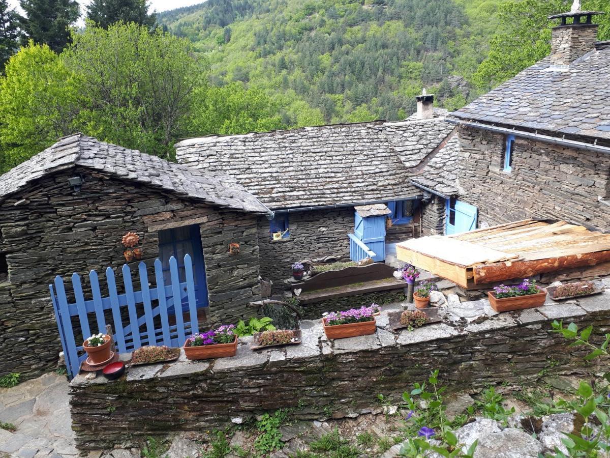 Lou Cabanis Villa Saint-Germain-de-Calberte Eksteriør billede